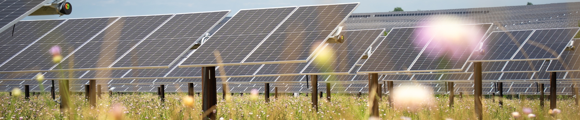 Blog Chillingham Solar BESS Blog Chillingham Solar BESS
