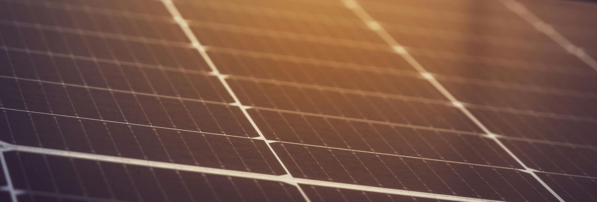 Harmony Community Solar Farm Now Bringing Savings to Medical Center and Income-Qualified Residents in Illinois